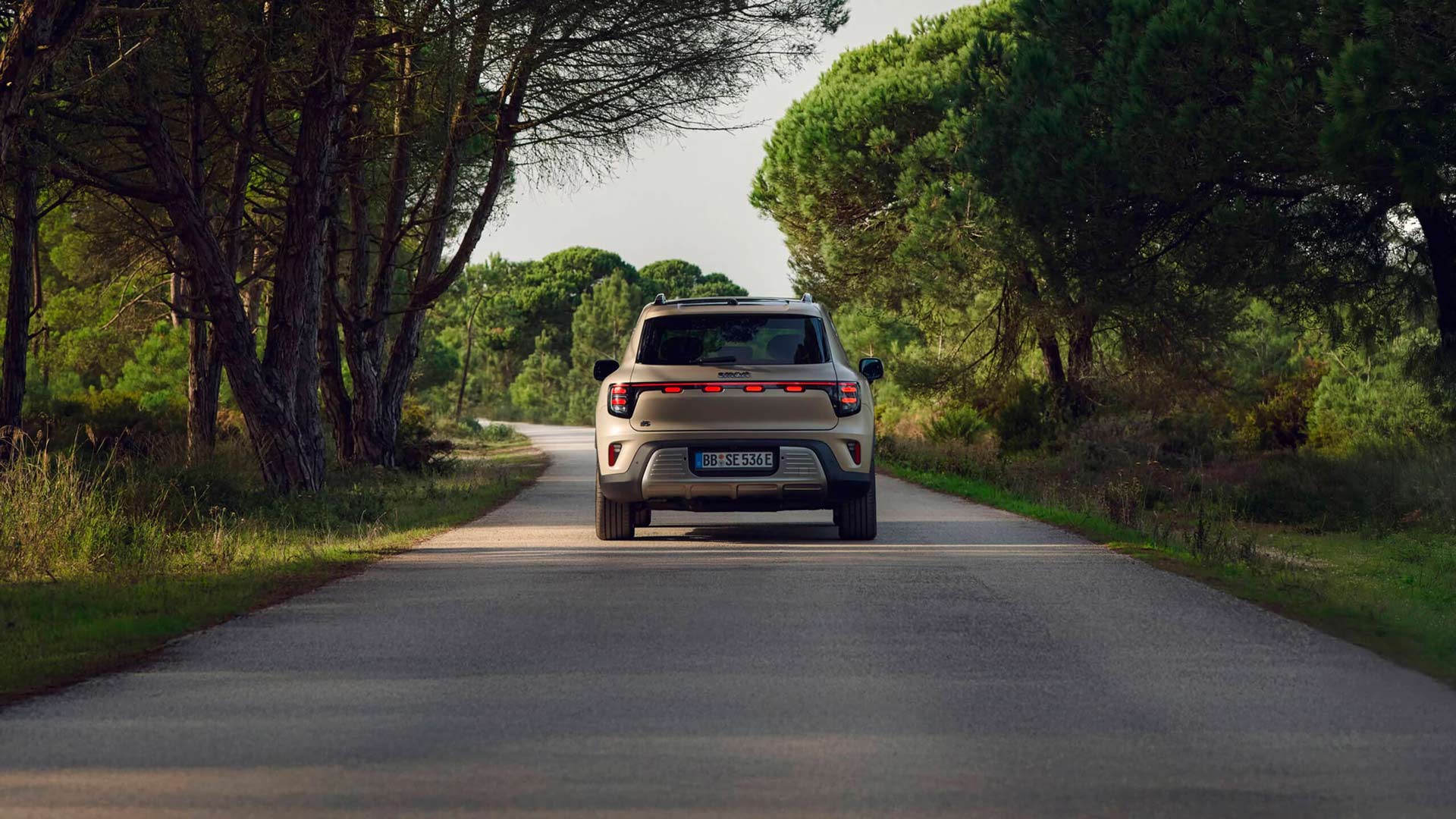 smart 1 Hybrid
